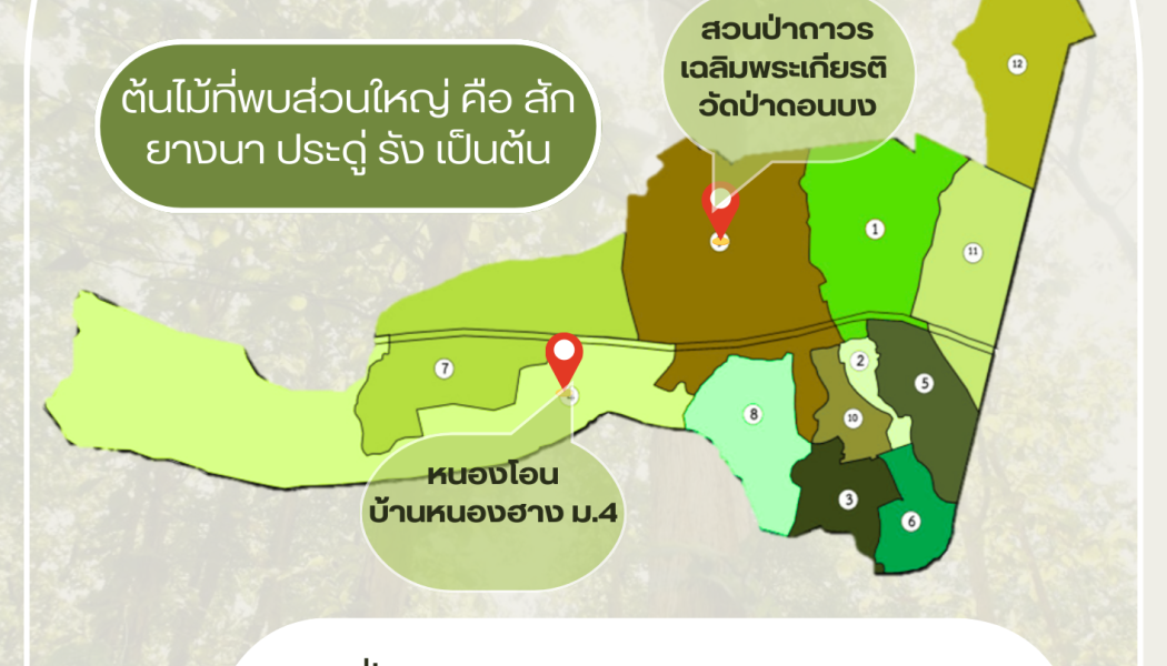 ประชาสัมพันธ์ ข้อมูลป่าชุมชน